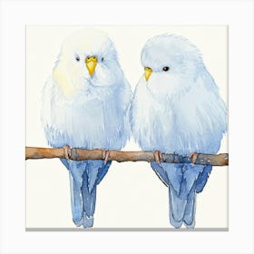 Two Birds Perched On A Branch Canvas Print