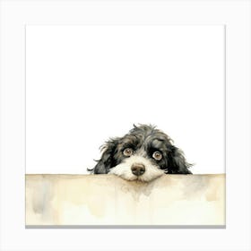 Poodle Peeking Over The Wall Canvas Print