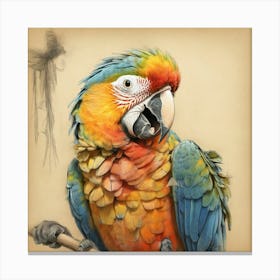 Parrot 38 Canvas Print