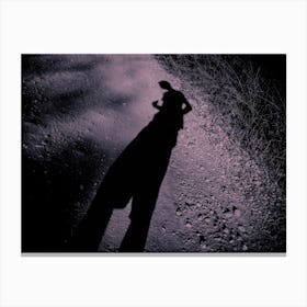 Elongated Shadow Of A Man On Gravel Canvas Print