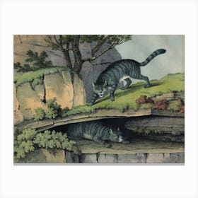 Vintage Kolb 6 Tafel 2 Wildkatze Canvas Print