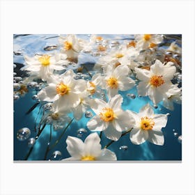 White Flowers In Water Canvas Print