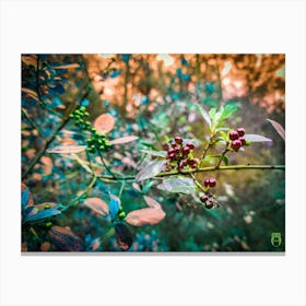 Berries In The Forest 202306031632162pub Canvas Print