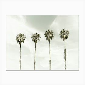 Coastal Palm Trees Canvas Print