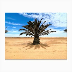 Namibian Palm Trees (African Series) Canvas Print