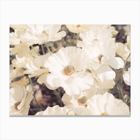 White Flower Bush Canvas Print