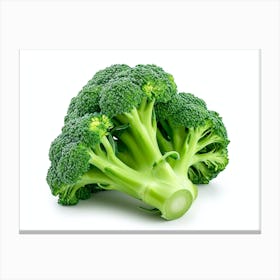 Broccoli 5 Canvas Print