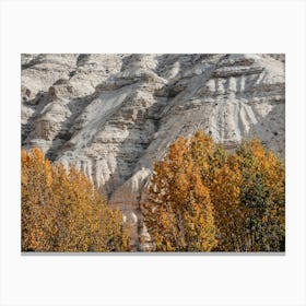 Autumn Trees In The Mountains In Nepal Canvas Print