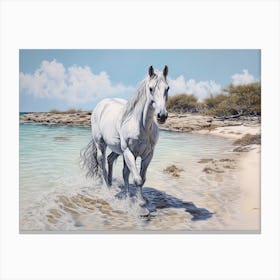 A Horse Oil Painting In Eagle Beach, Aruba, Landscape 4 Canvas Print