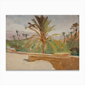 Vintage Palm Trees Canvas Print