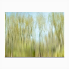 Tree Reflections Abstract Spring Landscape Canvas Print
