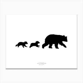 Bear Necesseties Fineline Illustration Canvas Print