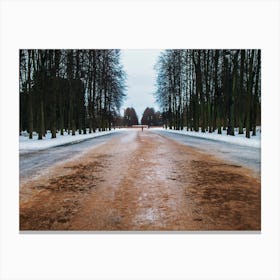 Snowy Road Canvas Print