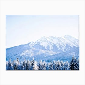 An Abstract Winter Landscape Under A Bright Sunny Sky Freshly Fallen Snow Draping White Iced Trees (4) Canvas Print