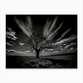 Black And White Tree Canvas Print