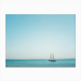 Solitary Seagull Canvas Print