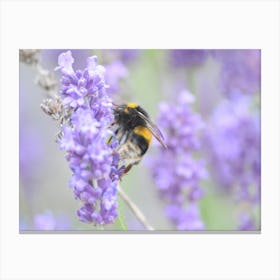 Bee On Lavender 1 Toile