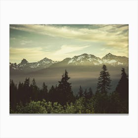 Cascade Mountain Wildflower Sunrise Canvas Print