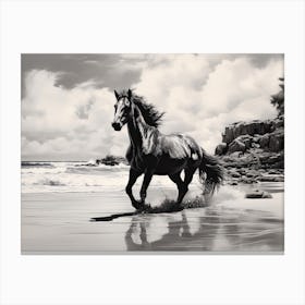 A Horse Oil Painting In Hyams Beach, Australia, Landscape 1 Canvas Print