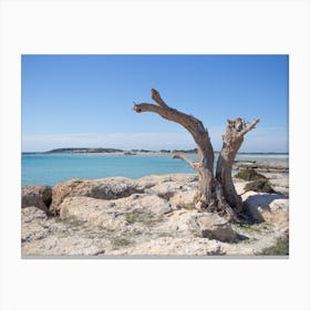 Elafonissi Beach Crete Canvas Print