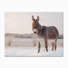 Snowy Donkey Scenery Canvas Print