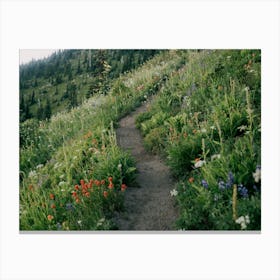 Wildflower Hike Canvas Print