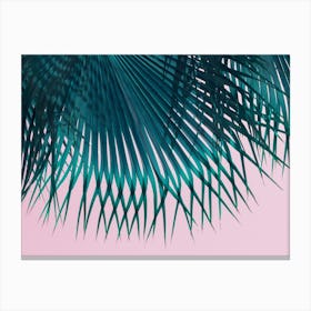 Blue-green palm leaf and soft pink sky Canvas Print