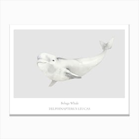 Whale Print Canvas Print