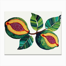 Guava Canvas Print