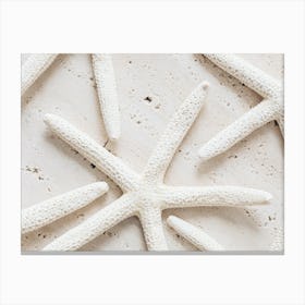 Dried Starfish Canvas Print