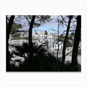 Capri Pinery - Anton Maliar art photo Italy Italian photography travel Canvas Print