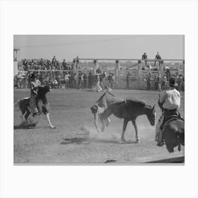 Rodeo Performer Being Bucked Off Bronco During The Rodeo At The San Angelo Fat Stock Show, San Angelo Canvas Print
