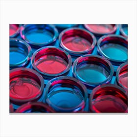 Close Up Of Red And Blue Test Tubes Canvas Print