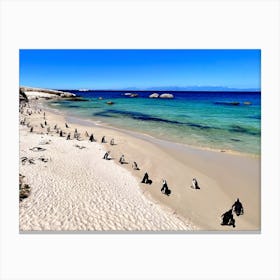 Penguins On The Beach (Africa Series) Canvas Print