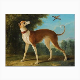 Greyhound In A Landscape, Jean Baptiste Oudry Canvas Print