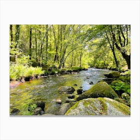 Wild River In The Woods Canvas Print