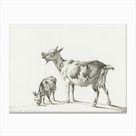 Goats, Jean Bernard Canvas Print