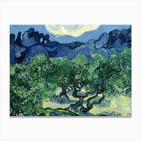 Van Gogh 71 Canvas Print