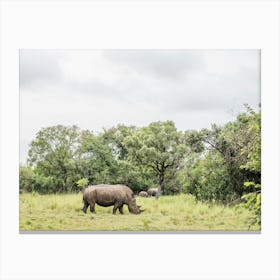 Rhino During A Walking Safari In A Park In Uganda In East Africa Canvas Print