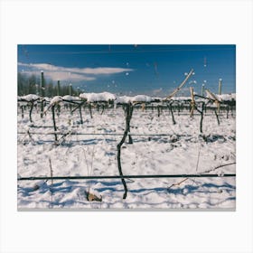 Unitltled 10 - Snow in the Vineyard Series Canvas Print