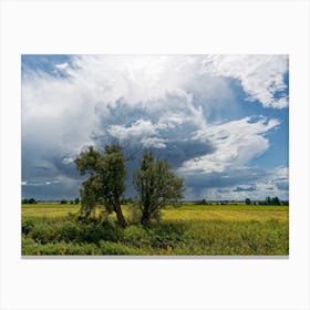 Thundercloud over wide landscape Canvas Print