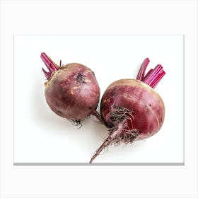 Beets Isolated On White Background Canvas Print