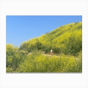 Baldwin Hills Canvas Print