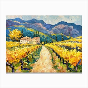 Vineyard Road 2 Canvas Print