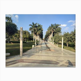 Park With Palm Trees Canvas Print