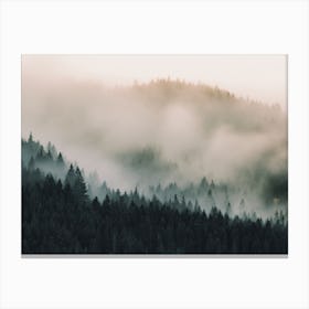 Morning Forest Fog Canvas Print