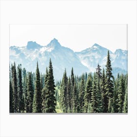 Mount Rainier National Park Forest Mountain Adventure Canvas Print