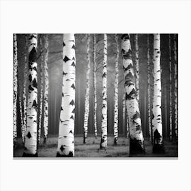 Birch Trees 32 Canvas Print