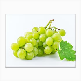 Grapes On A White Background Canvas Print
