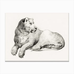 Lying Lion 1, Jean Bernard Canvas Print